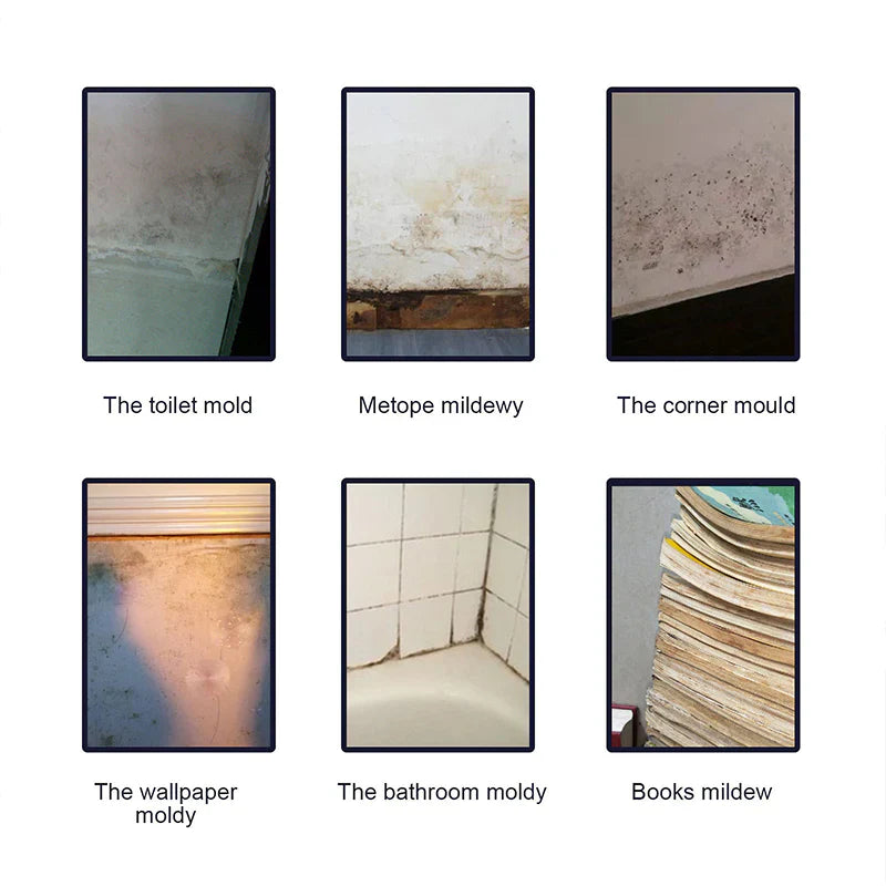 Multifunctional Mildew Cleaner Foam