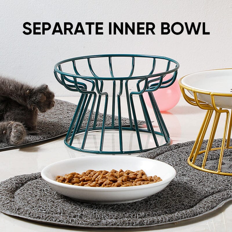Whisker-Friendly Anti-Vomit Cat Plate