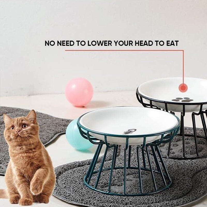 Whisker-Friendly Anti-Vomit Cat Plate