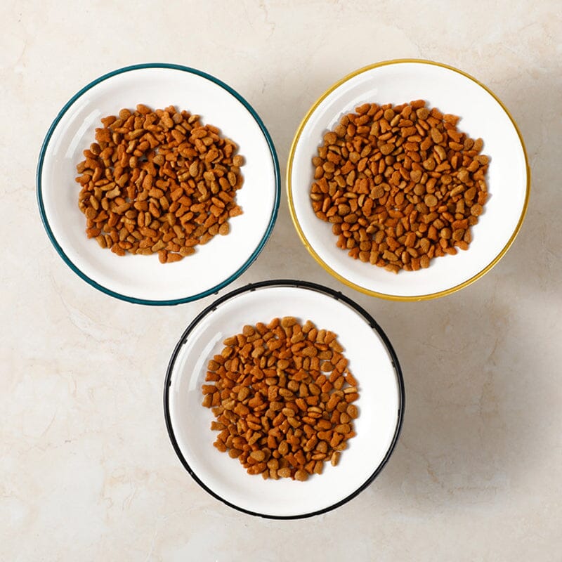 Whisker-Friendly Anti-Vomit Cat Plate