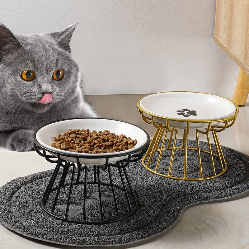 Whisker-Friendly Anti-Vomit Cat Plate