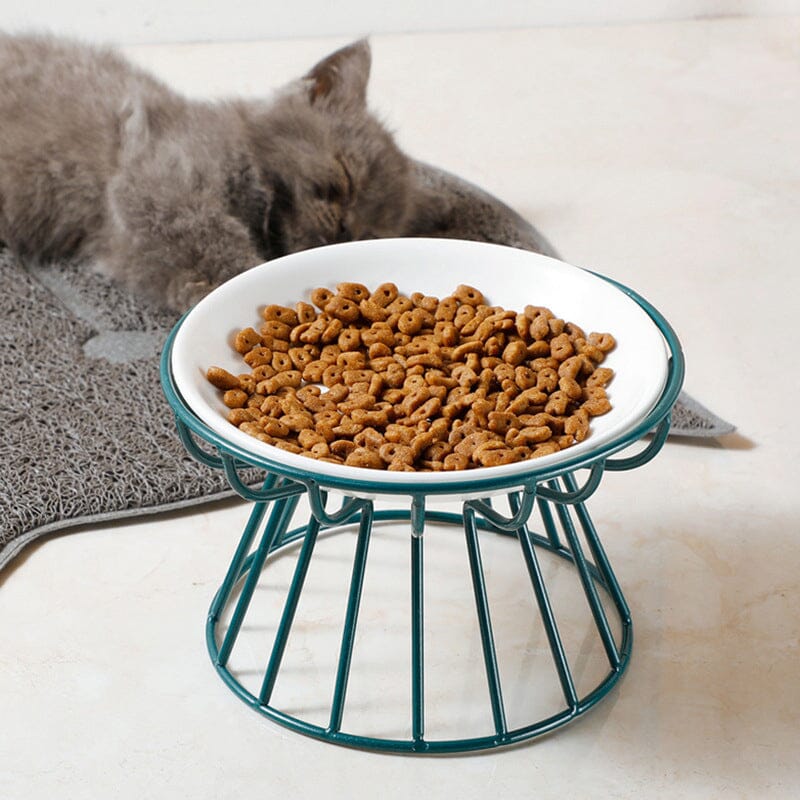 Whisker-Friendly Anti-Vomit Cat Plate