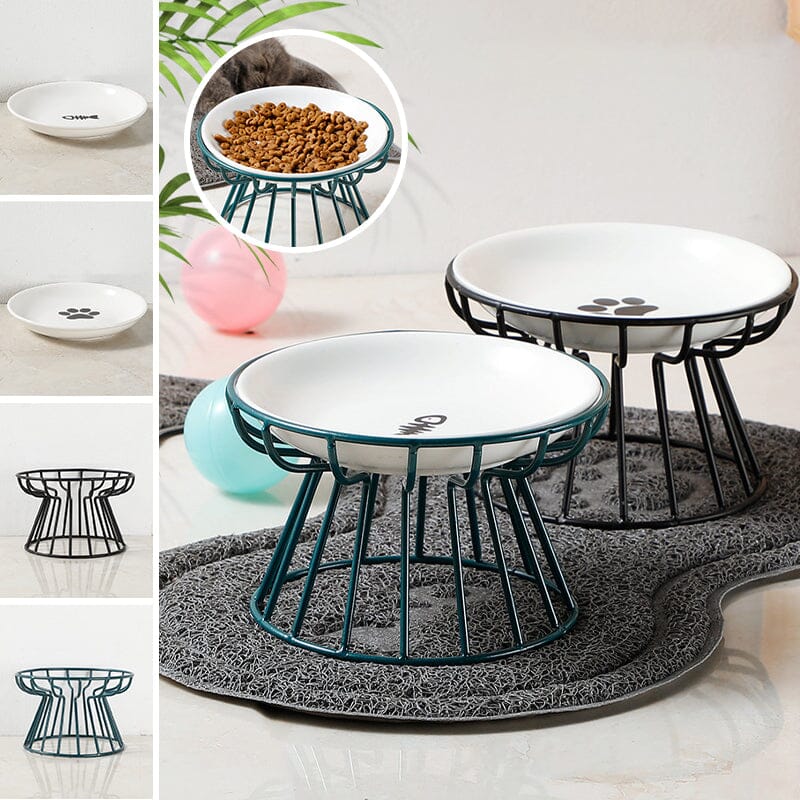 Whisker-Friendly Anti-Vomit Cat Plate